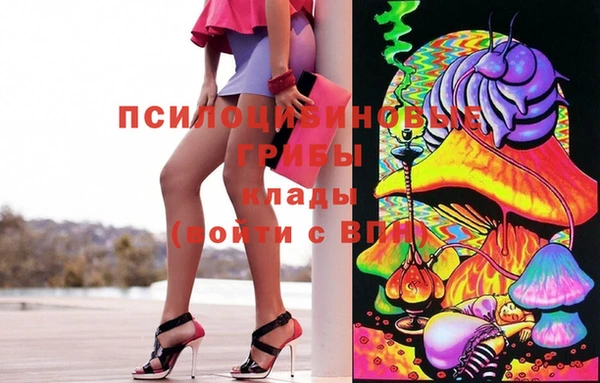 Альфа ПВП Алзамай
