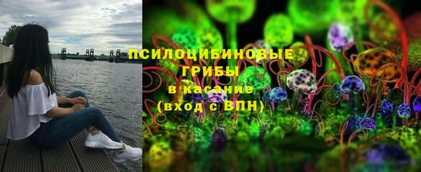 спиды Алексин