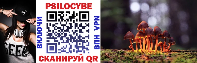 mega ССЫЛКА  Медынь  Псилоцибиновые грибы Magic Shrooms 